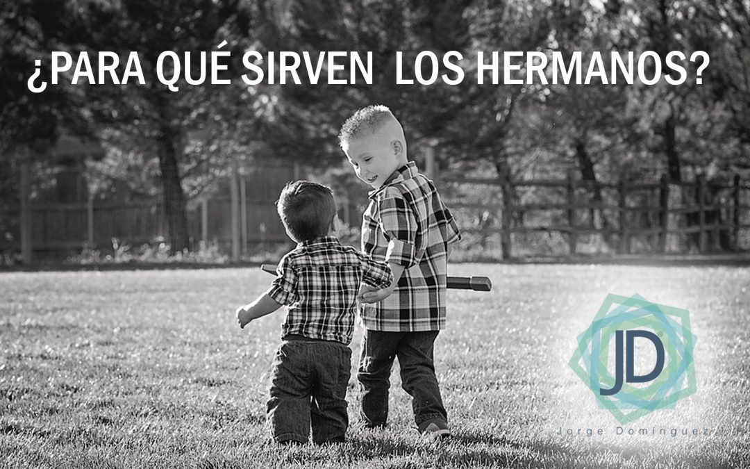 para qué sirven los hermanos