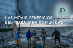 Las Moais: beneficios del trabajo en comunidad