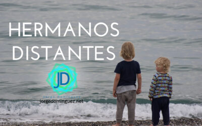 Hermanos distantes, ¿cómo sanar la relación?