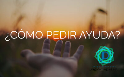 ¿Cómo hago para pedir ayuda?
