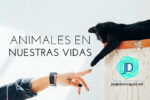 Beneficios de una mascota en cada etapa de la vida