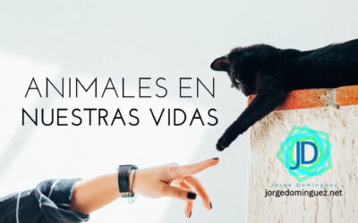 Beneficios de una mascota en cada etapa de la vida