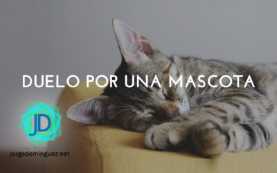 Cómo superar el duelo por una mascota