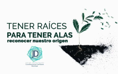 Tener raíces para tener alas: ¿por qué valorar nuestros orígenes?