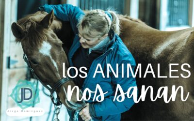 Animales: Un Enfoque Terapéutico Poderoso 