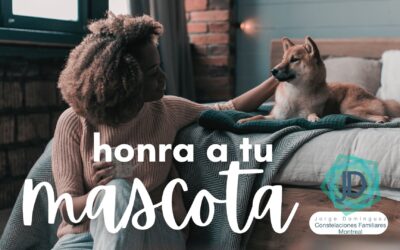 ¿Por qué honrar el lugar de mi mascota en la familia?