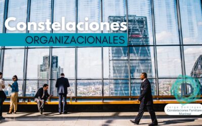 Constelaciones Organizacionales para crecer tu empresa