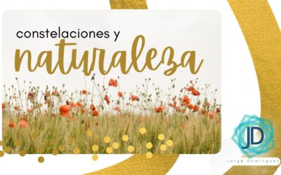 Constelaciones y la relación con la naturaleza 